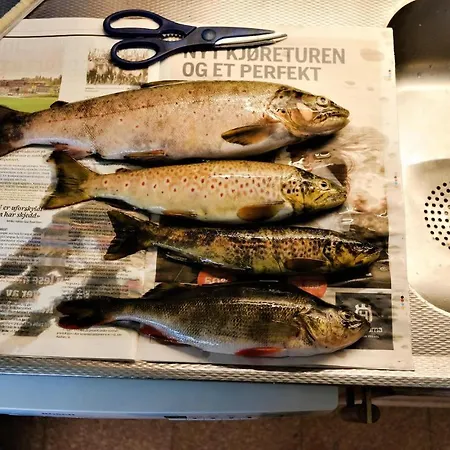 Strandbu Feriehus Vraliosen